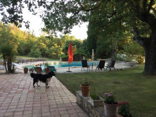 Terras bij de grote eik