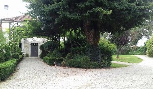 (Vakantie) woning: Villa met zwembad in de regio Charente van Frankrijk voor vakantieverhuur. Mooie grote tuin, terras en uitzicht op de boomgaard en weilanden. te huur in Charente (Frankrijk)