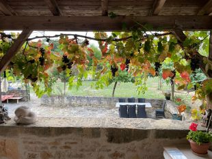 Binnenplaats vanaf de veranda