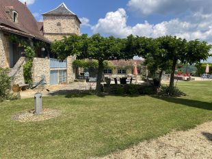 Terras onder Moerbijbomen