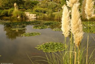 Parc 'Exflora'