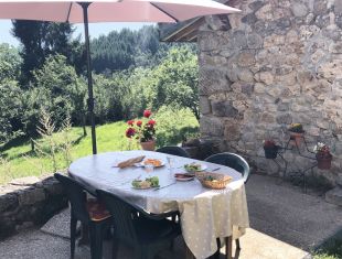 Lunch op het terras <br>Onder de parasol staat er op tafel een heerlijke lunch klaar, met stokbrood, twee glaasjes water, quiche met salade, meloen en andere heerlijke hapjes uit de streek.Je kijkt uit de boomgaard met de no