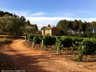 vakantiehuis Ardeche