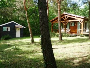 la Chataigne met La Petite chataigne