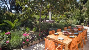 Tafelen onder een fruitboom.