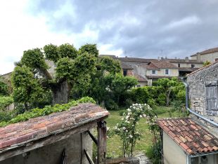 Zicht op de tuin vanuit slaapkamer