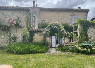 Achtergevel en zicht op terras vanuit de tuin