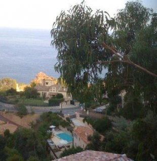 vakantiehuis Alpes Maritimes