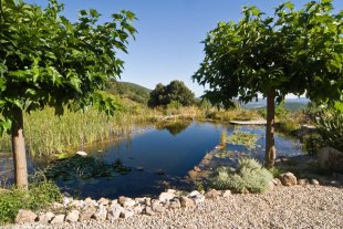 vakantiehuis Herault