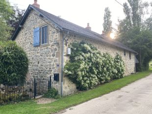 straatzijde met klimhortensia