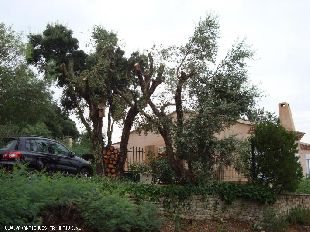 Vakantiehuis: Côte d'Azur le muy sainte maxime: Vrijstaande woning van alle gemakken voorzien op een afgesloten domaine met prive zwembad en een prachtig uitzicht te huur in Var (Frankrijk).