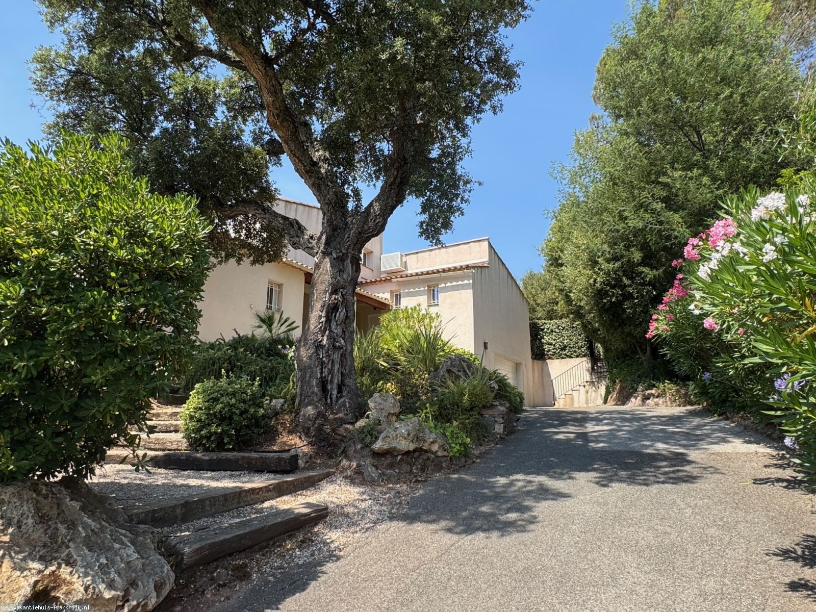 Hoofdfoto Fantastische, rustiggelegen luxe vakantievilla voor relaxte vakantie, verwarmd privézwembad & optimale privacy Fréjus, Côte'd Azur (6 max. 7p.)