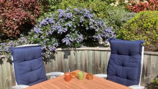 Koffie met pain chocolat