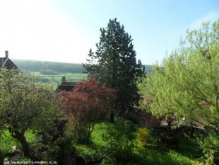 uitzicht vanuit tuin