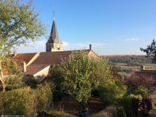 zicht op de kerktoren
