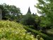 zicht op kerk vanuit de tuin