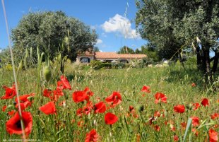 Provençaalse villa