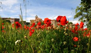 Panoramisch uitzicht