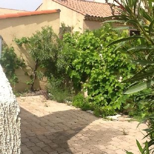 (Vakantie) woning: Bungalow Impasse du mimosa in Valras-Plage op 100 m van zandstrand/zee. te huur in Herault (Frankrijk).