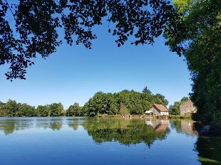 (Vakantie) woning: Te huur: grote vakantiewoning aan een meer in de Creuse, midden in de natuur! Maximaal 12 personen, zeer geschikt voor familie- en groepsvakanties. te huur in Creuse (Frankrijk).