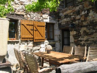 Terras onder de druivelaar