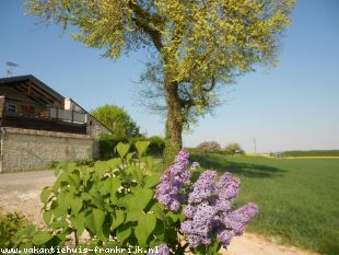 Huis voor grote groepen in Centre Frankrijk te huur: Gite met landelijk uitzicht. Genieten van de rust. 70 km na Tours 