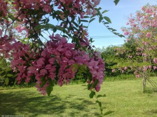 vakantiehuis Dordogne