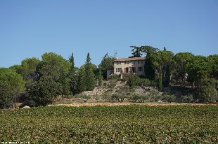 (Vakantie) woning: Domaine de Saint Louis een unieke luxe Bastide met privé zwembad gelegen midden op haar eigen wijngaard dichtbij Carces. te huur in Var (Frankrijk).