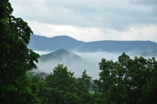 uitzicht vanuit huisje