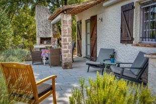 de oleanders in bloei