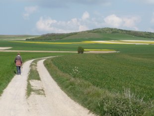 de Boulonnais, het mooie hinterland