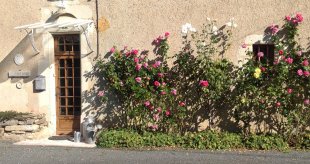 kitchen door on roadside entrance