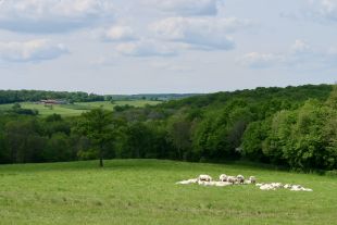 Uitzicht vanaf het terras met loungeset