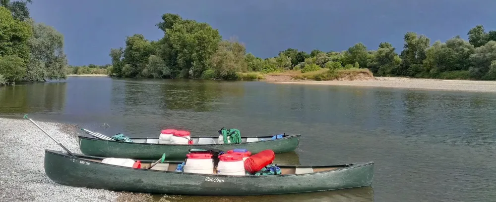 De wilde rivier de Allier, met zandbanken en oeverbossen.