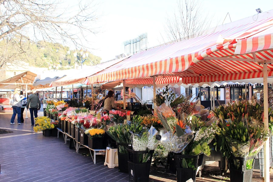 De kleurrijke bloemen- en groentenmarkt op de Cours Saleya in Nice
