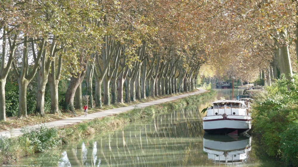 Het pittoreske Canal du Midi, omzoomd door platanen, een populaire route voor pleziervaart en fietstochten.