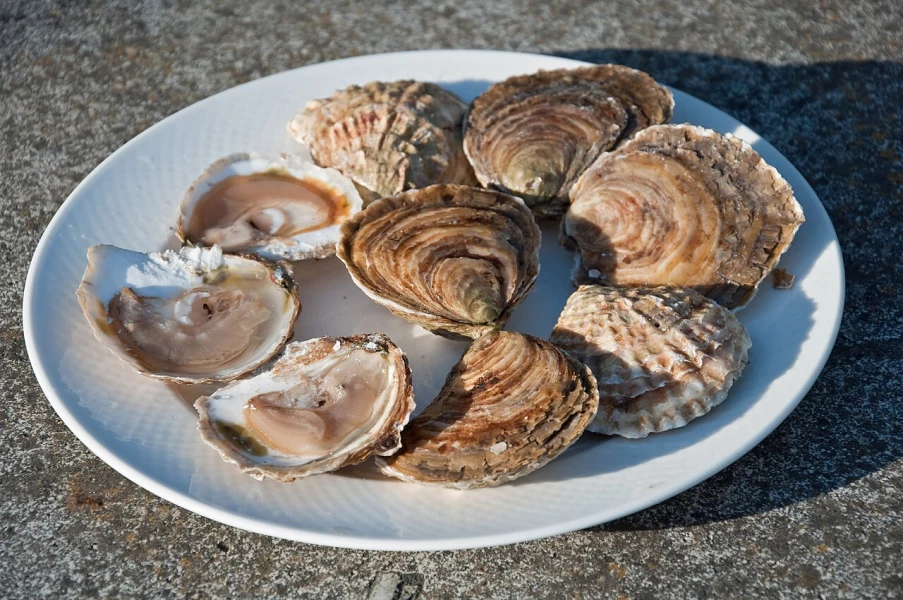De oesters uit Cancale, smullen voor de liefhebbers