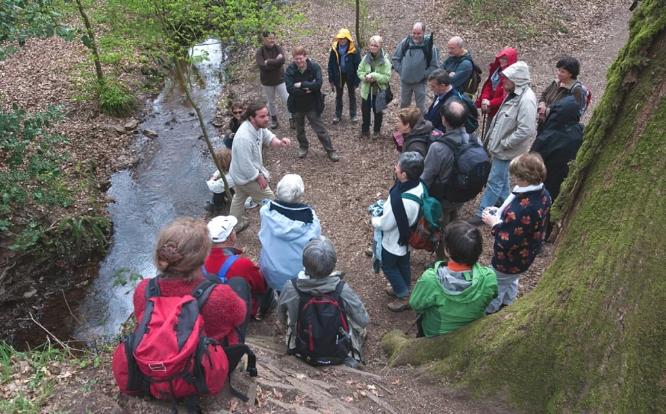 Met een gids een verhelderende wandeling maken door het bos van Brocéliande