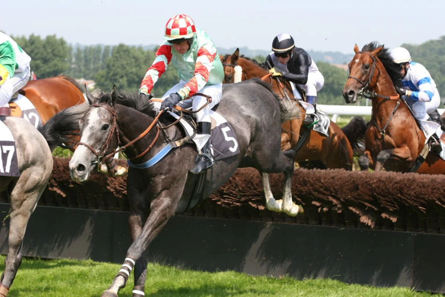 De prestigieuze paardenrennen van Deauville trekken de haute volée van de internationale paardensportwereld.