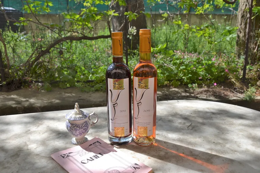 Druiven drogen voor de vin paillé, de zoete strowijn van de Corrèze.