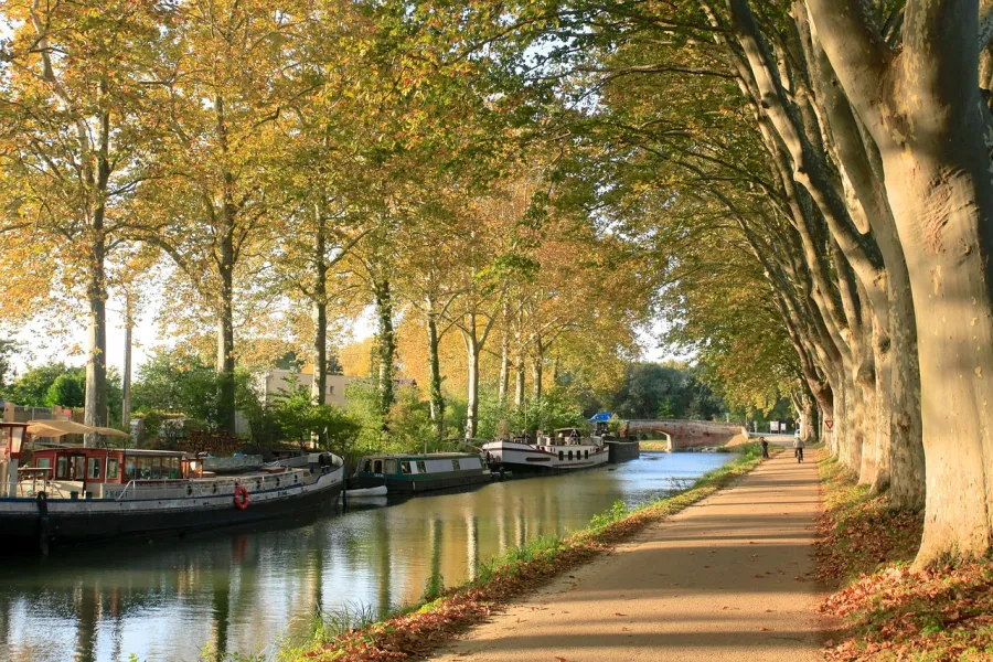 Het Canal du Midi met zijn platanen in de Lauragais.