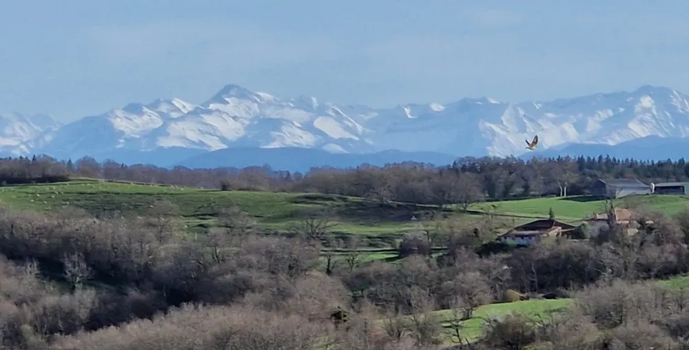 Het landschap met zicht op de Pyreneeën.