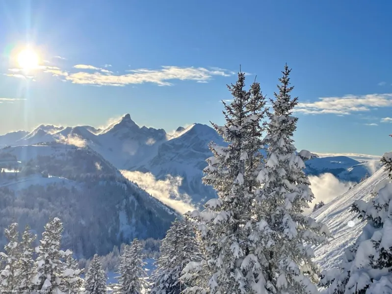 De Mont Blanc, meer dan 4000 meter hoog