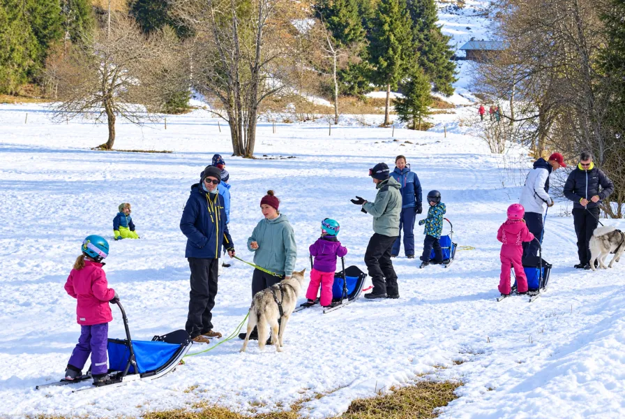 Met de kinderen in de hondenslee: Geweldig leuk.