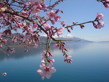 Lac du Bouget